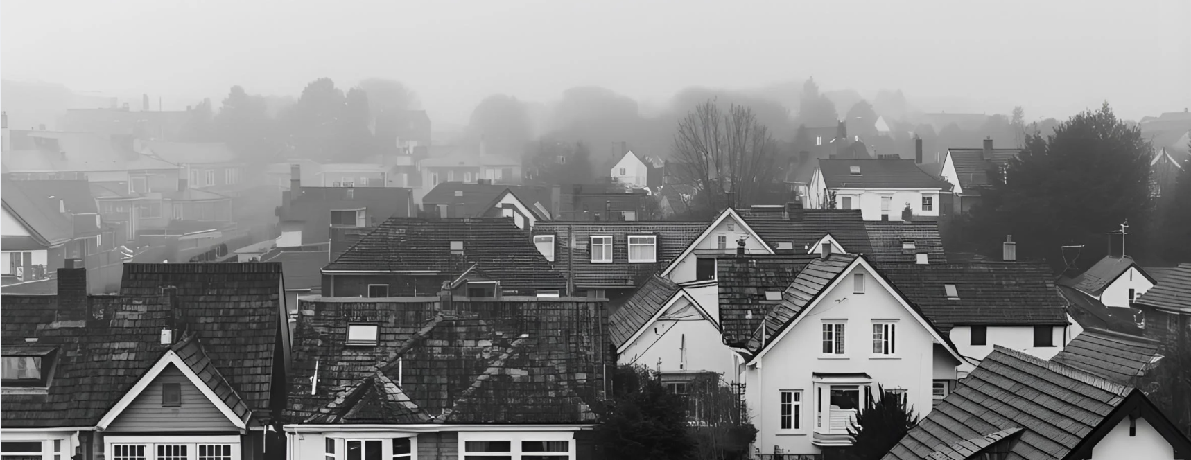 Urbanized Development